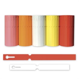 ETICHETTA CON ASOLA NEUTRA PER SCRITTURA MANUALE CM 20X2